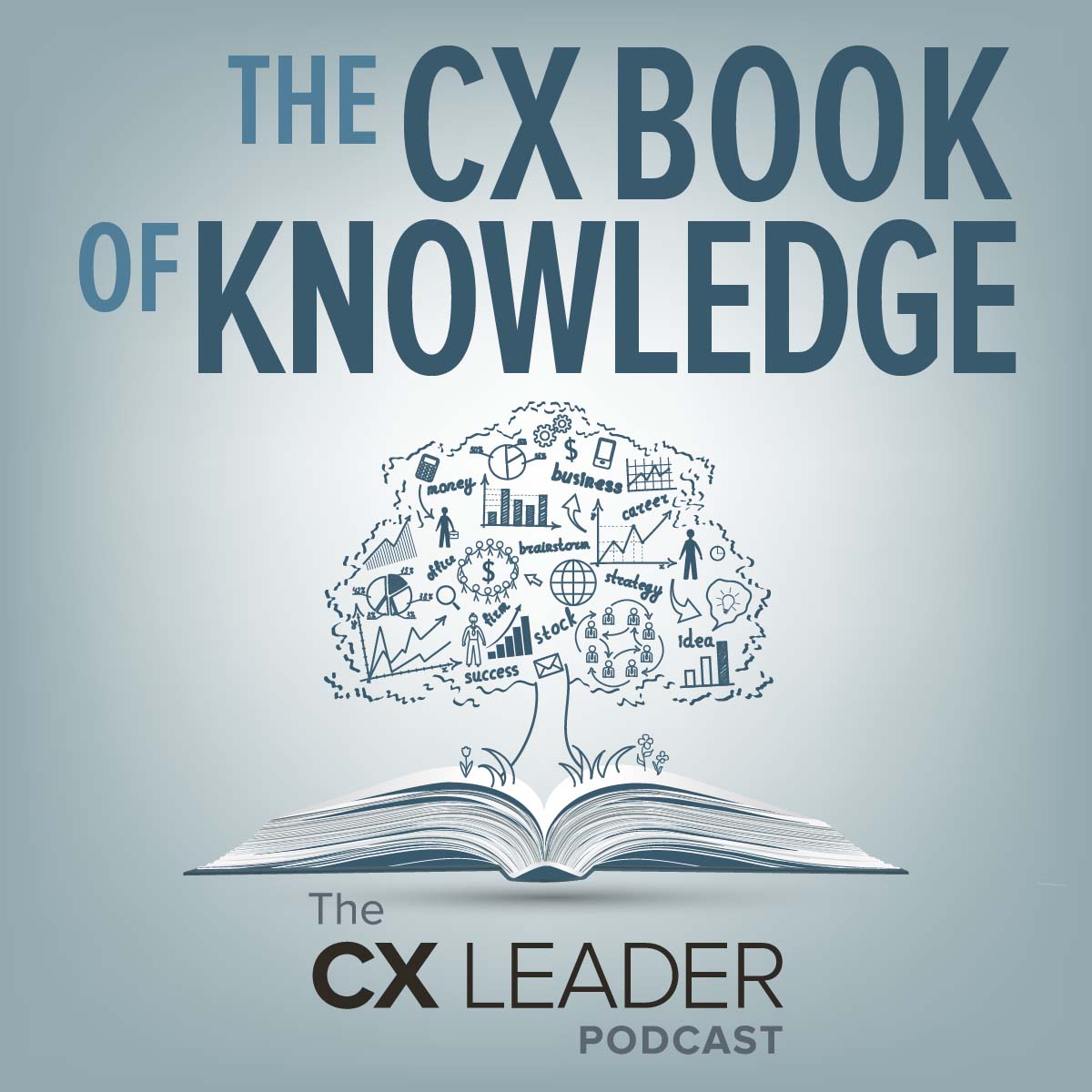 The CX Book of Knowledge